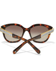 Intrigue Tortoise Sunglasses