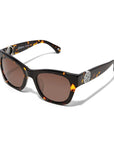Contempo Medallion Sunglasses