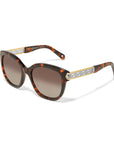Intrigue Tortoise Sunglasses
