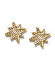 Enchanting Star Post Earrings