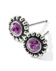 Twinkle Mini Post Earrings