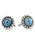 Twinkle Mini Post Earrings